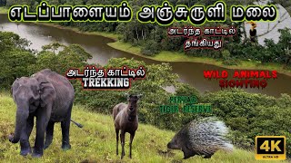 🔥Thrill Wild Animals Sighting In Deep Forest  Eadapalayam Anchuruli Peak Trekking SimbaaVlogs [upl. by Beatrix]