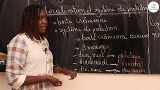 Cours  Terminale L  SVT  Organisation du système nerveux cérébrospinal des mammifères Mme Cissé [upl. by Elok]