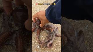 🐙Rescue mission Successfully saved 4 octopus friends 🥺 [upl. by Eimirej806]