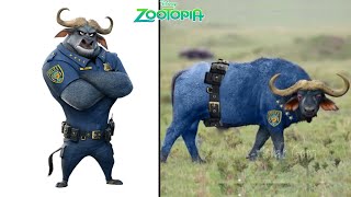 Zootopia Characters In Real Life [upl. by Adnauqaj437]