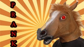 SCARY HORSE PRANK  HOW TO ANGST MACHEN [upl. by Alton]