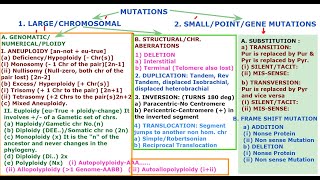 Classification of Mutation by JJS Sir for Class 12 NEET KVPY OLYMPIADS [upl. by Neeruam898]