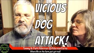 AldermanFarms LIVE  When Dogs Attack [upl. by Attehcram]