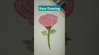 Rose drawing drawing flowerdrawing [upl. by Werner]