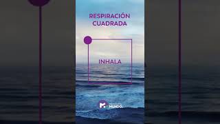 👉🏼INTENTA RESPIRAR ASÍ  Respiración Cuadrada [upl. by Brynn112]