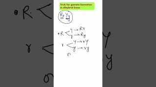 ShorttrickGamete formation in dihybrid crossheterozygous plantNeetncertbiology [upl. by Ylrebmit382]