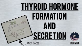 Formation and secretion of Thyroglobulin and Thyroid Hormones [upl. by Artema]