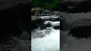 quotFeel Calm in 60 Seconds  River Sound Therapyquot asmr [upl. by Ednew275]