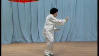 Sunstyle Taijiquan [upl. by Persson]