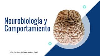 Neurobiología y Comportamiento P1 [upl. by Lomaj]