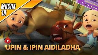 Upin amp Ipin Musim 18  Aidiladha  Upin Ipin Terbaru 2024 [upl. by Daffodil329]