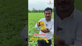 पाटील बायोटेक मक्षिकारी सापळे Patil biotech Makshikari Trap patilbiotech [upl. by Feola798]