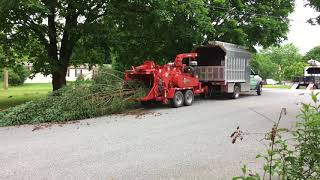 Chipping Whole Tree [upl. by Tarttan]