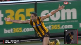 AFL 2013 1st Preliminary Final  Hawthorn highlights vs Geelong [upl. by Htepsle]