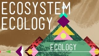 Ecosystem Ecology Links in the Chain  Crash Course Ecology 7 [upl. by Gelasius]