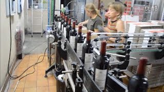 Glass Bottle Red Wine Filling Capping Corking Labeling Machine and Making Production Lline [upl. by Ardin739]