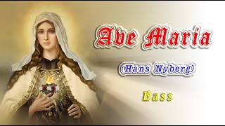 Ave Maria  Nyberg   Bass [upl. by Noerb]