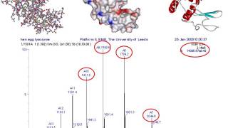 Mass spectrometry for proteomics  part one [upl. by Birchard558]