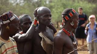 Bull Jumping Ritual  Hamar Tribe Ethiopia [upl. by Yun]