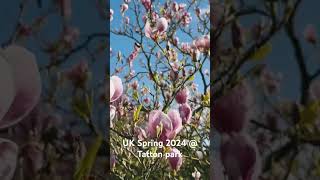 英國生活 ｜Spring 2024  Tatton Park [upl. by Keyek98]