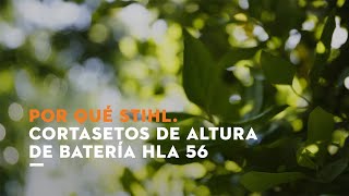 Cortasetos de altura de batería STIHL HLA 56 [upl. by Mayworm]