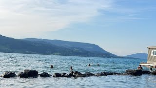 Am Attersee Österreich ist sehr 😻 [upl. by Rubel]