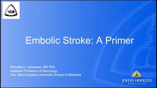 Embolic Stroke A Primer  Dr Michelle Johansen [upl. by Dorehs]