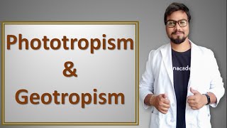 Phototropism and geotropism in hindi [upl. by Raddatz]