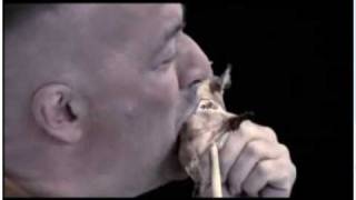 park squirrel  bizarre foods commercial  andrew zimmern [upl. by Lamberto87]