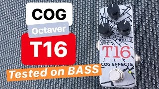 COG T16 Analogue Octave Tested on BASS [upl. by Ajin]