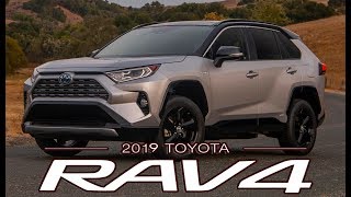 2019 Toyota RAV4 XSE Hybrid – Interior Exterior and Drive [upl. by Hobard]