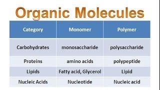 Organic Molecules amp Carbohydrates honors biology updated [upl. by Behka819]