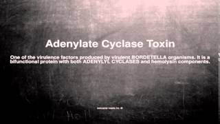 Medical vocabulary What does Adenylate Cyclase Toxin mean [upl. by Abehshtab]