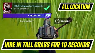 Growing HUGE Ornamental Grasses  Privacy amp EASY [upl. by Teragramyram]