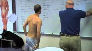 Scapular Protraction Pectoralis Minor Stretching [upl. by Rugg]