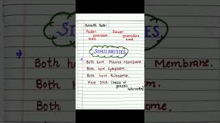 biology prokaryotic cells and Eukaryotic cells difference  similarities  diagram of Both cells [upl. by Itsrejk]