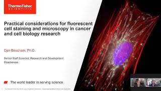 Practical considerations for fluorescent cell staining amp microscopy in cancer cell biology research [upl. by Dugas]