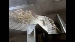 spiral BLANCHING MACHINE FOR CHICKEN FEET [upl. by Uokes]