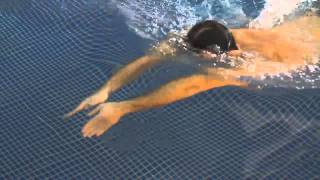 Breaststroke Swimming technique  timing [upl. by Nahbois]