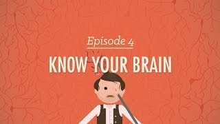 Meet Your Master  Getting to Know Your Brain Crash Course Psychology 4 [upl. by Comstock]