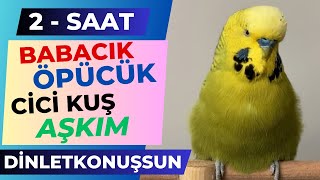 2 Saat Babacık Öpücük Cici Kuş Aşkım Çok net dinletkonussun [upl. by Hardie]