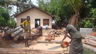 Sri Lankaශ්‍රී ලංකාCeylonLumberSaw MillCoconut Palm WoodCocos Nucifera [upl. by Erick]