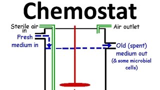 Chemostat [upl. by Euh]