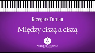 Grzegorz Turnau  Między ciszą a ciszą  karaoke  piano  instrumental [upl. by Madelon]