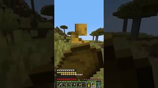 Minecraft But GamerFleet Have SUPER OP CHAPPAL  shorts shortsvideo GamerFleet [upl. by Beeck]