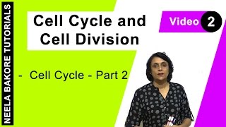 Cell Cycle amp Cell Division  NEET  Cell Cycle  Part 2  Neela Bakore Tutorials [upl. by Engdahl428]