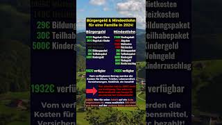 Bürgergeld vs Mindestlohn für Familien in 2024 [upl. by Rego]