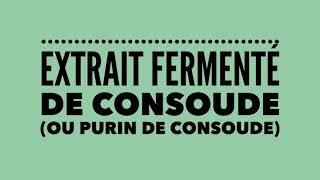 Recette du purin de consoude [upl. by Frodeen]