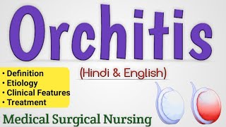 Orchitis  Orchitis In Hindi Medical Surgical Nursing [upl. by Aranahs29]