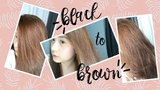 DIY Hair Dye  No Bleach  Philippines  PixiePeach ♥ [upl. by Aynwat894]